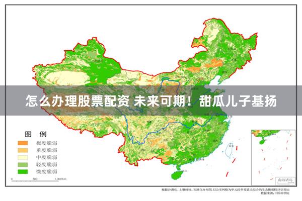 怎么办理股票配资 未来可期！甜瓜儿子基扬