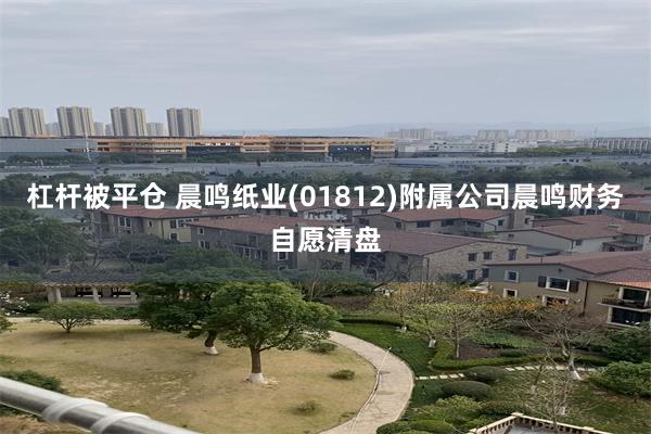 杠杆被平仓 晨鸣纸业(01812)附属公司晨鸣财务自愿清盘