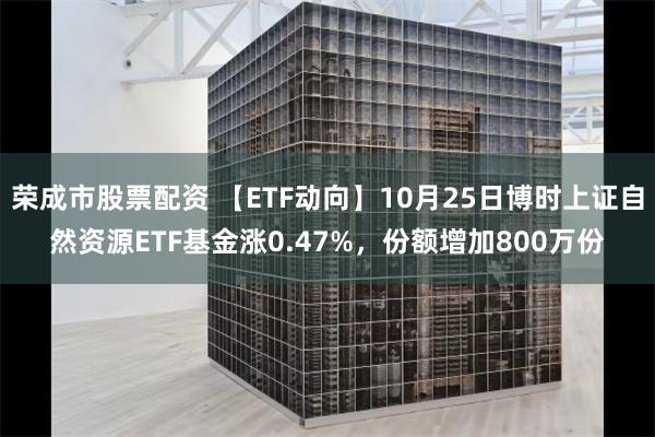 荣成市股票配资 【ETF动向】10月25日博时上证自然资源ETF基金涨0.47%，份额增加800万份