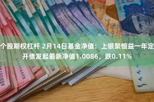 个股期权杠杆 2月14日基金净值：上银聚恒益一年定开债发起最新净值1.0086，跌0.11%