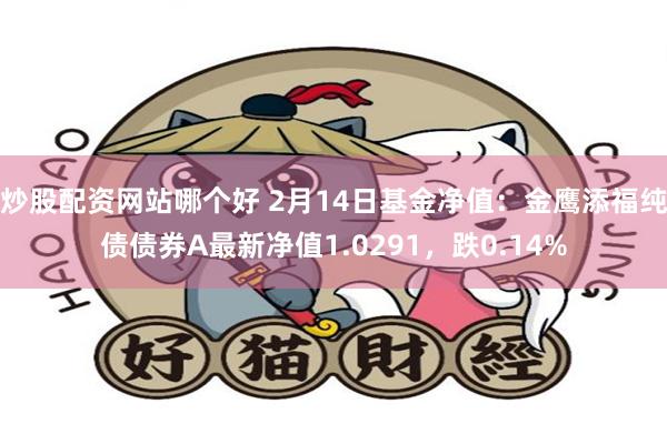 炒股配资网站哪个好 2月14日基金净值：金鹰添福纯债债券A最新净值1.0291，跌0.14%