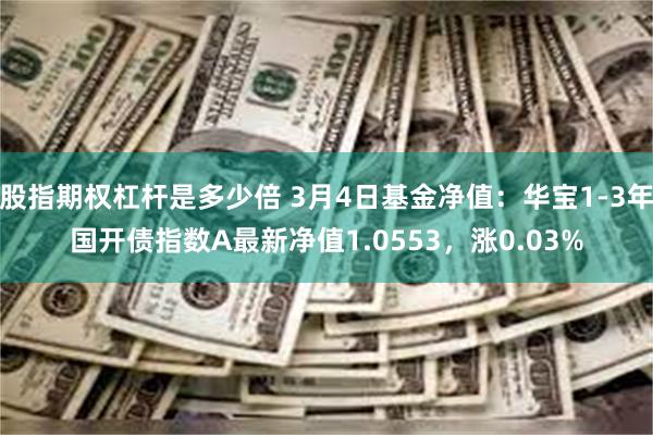 股指期权杠杆是多少倍 3月4日基金净值：华宝1-3年国开债指数A最新净值1.0553，涨0.03%