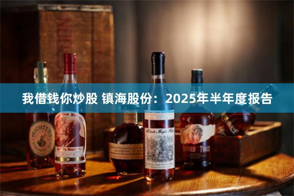 我借钱你炒股 镇海股份：2025年半年度报告